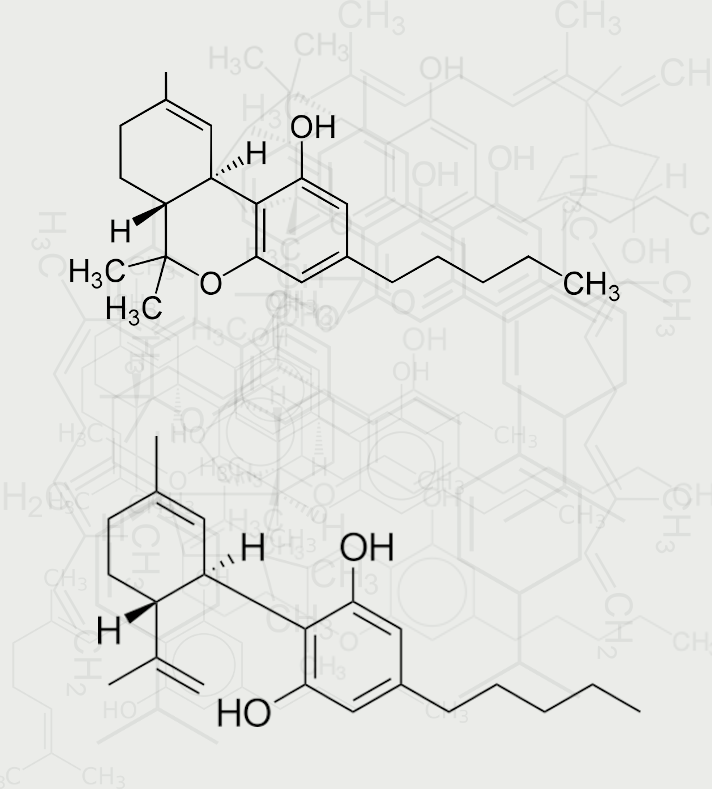 Cannabinoids - CBD and THC